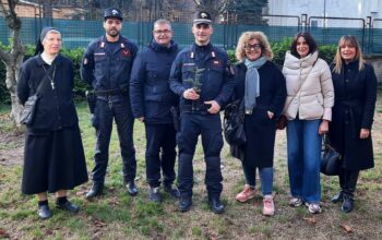 giornata degli alberi (2)