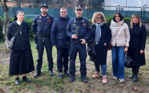 giornata degli alberi (2) giornata degli alberi (2)