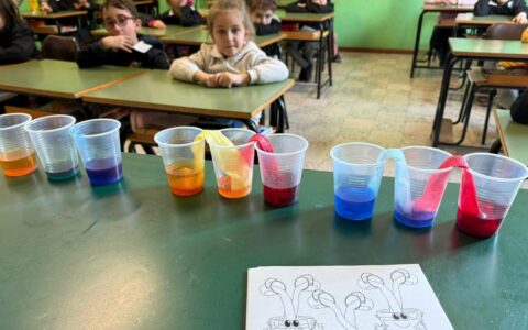 Alla scoperta dei colori secondari! (2)