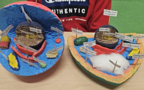 È tempo di cellule per la classe quarta! (2)