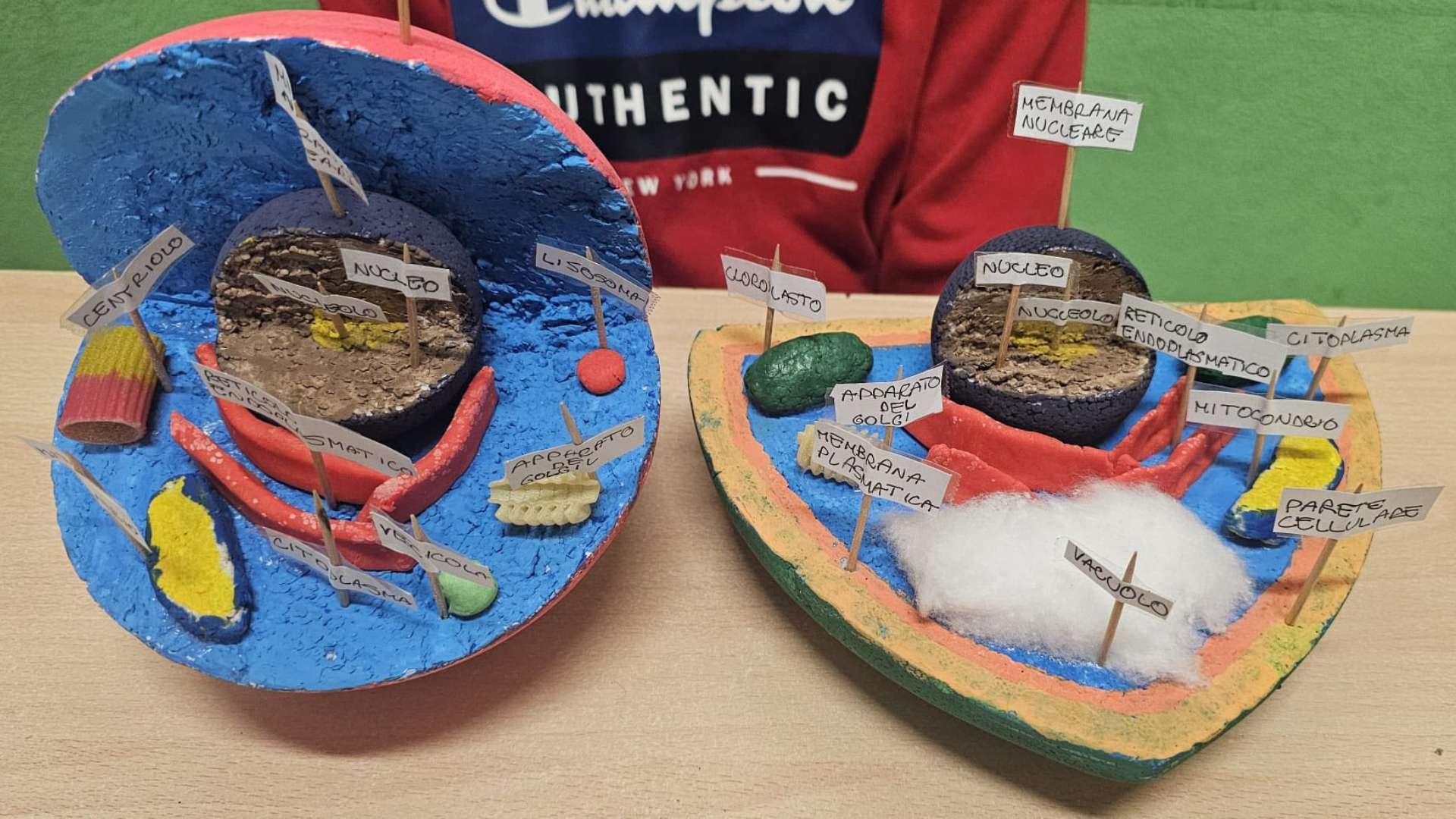 È tempo di cellule per la classe quarta!